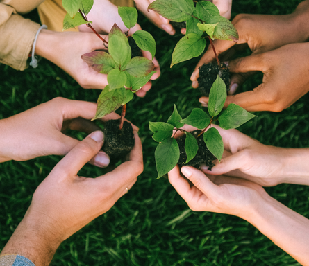 Altamas Relief and Development Foundation (ARDF)